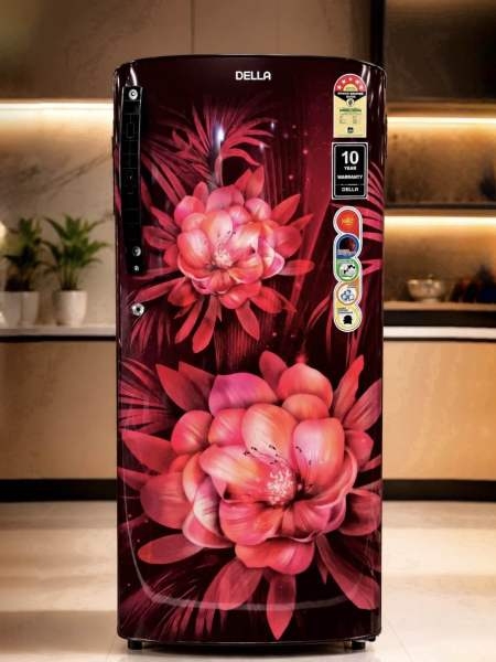 DELLA 220 Litres Single Door Refrigerator - Image 2