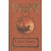 Gita Saar By Sanskriti press