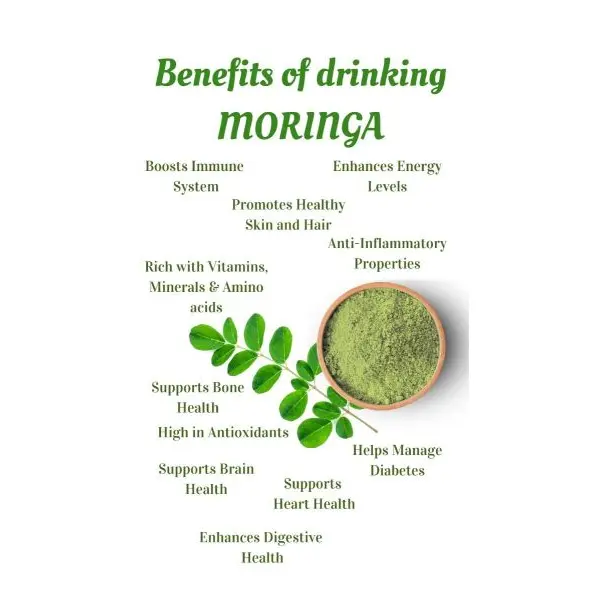 Padmalaxmi Teahouse Moringa leaves 120 GM - Image 4