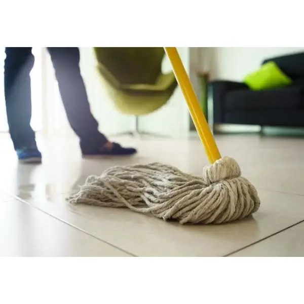 Bodhi Natural Floor And Surface Antibacterial Disinfecting Cleaner , Fragrance Free ( 5l) - Image 3