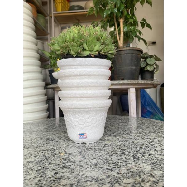 5Pcs 5 Inch Beautiful Sunny Pot For Home Or Garden - Image 2