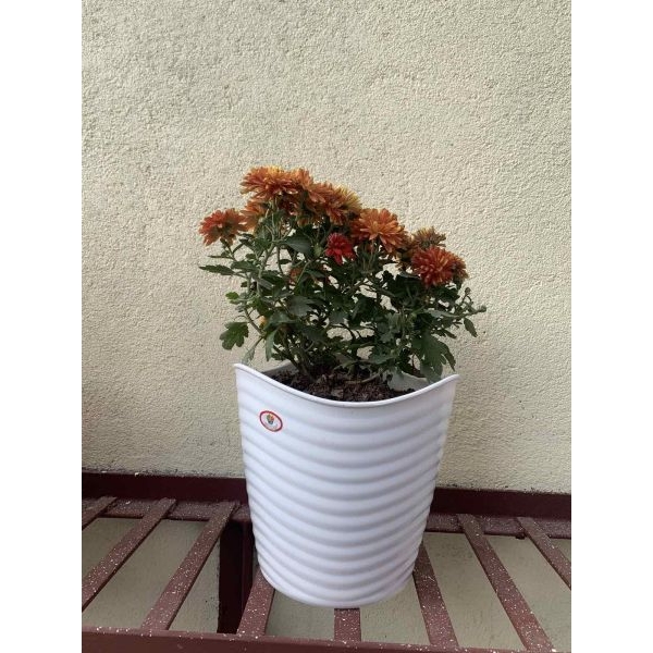 Glory Flower Pot / Planter For Indoor Outdoor Garden 8 Inch ( 20.5 cm * 20.5cm * 19cm ) - Image 2
