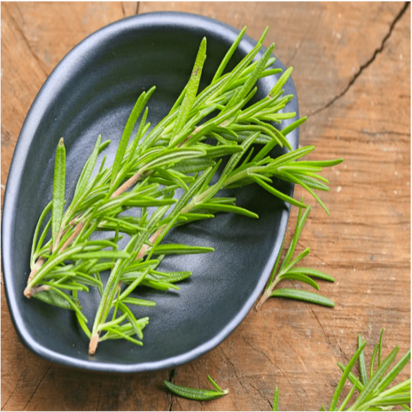 20+ Loose Packed Seed Of Rosemary Herb Seeds Kitchen Garden Use - Image 3