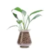 Expanded Leca Balls for Indoor Plants