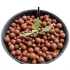1 Kg Leca Clay Pebbles for Plants