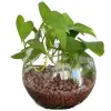 Soil Amendment