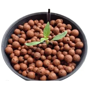 1 Kg Leca Clay Pebbles for Plants