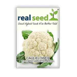 1 Packet Cauliflower F1 Hybrid Imported Vegetable Seeds