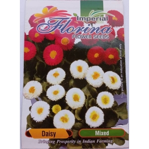 1 Packet Daisy Flower Mixed Seeds 40 Plus Seeds