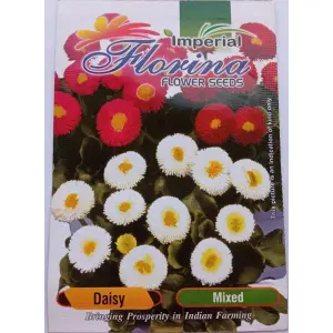 1 Packet Daisy Flower Mixed Seeds 40 Plus Seeds