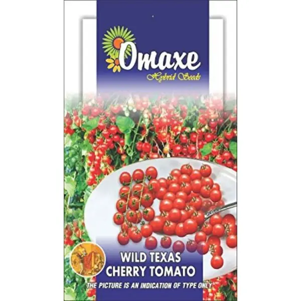 1 Packet Excellent Quality Omaxe Tomato Seeds Cherry Wild Texas Very Small - 100 Seeds Pack Exotic Tomato Seed - Image 2