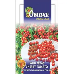 1 Packet Excellent Quality Omaxe Tomato Seeds Cherry Wild Texas Very Small - 100 Seeds Pack Exotic Tomato Seed
