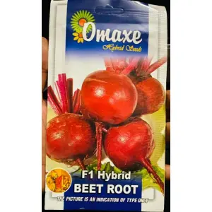 1 Packet F1 BEET ROOT Omaxe Seeds By Savyata Stores For Kitchen Garden