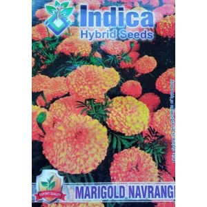 1 packet Marigold Navarangi Seeds