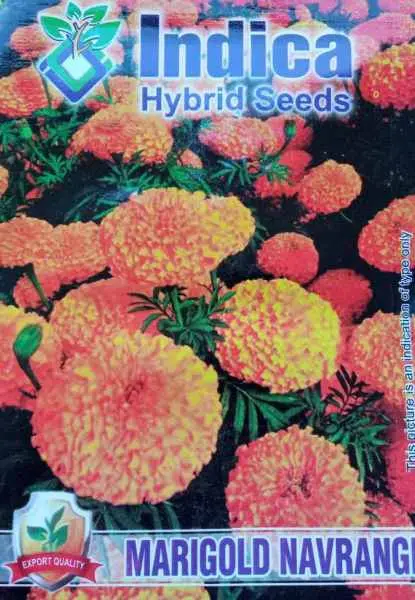 1 packet Marigold Navarangi Seeds