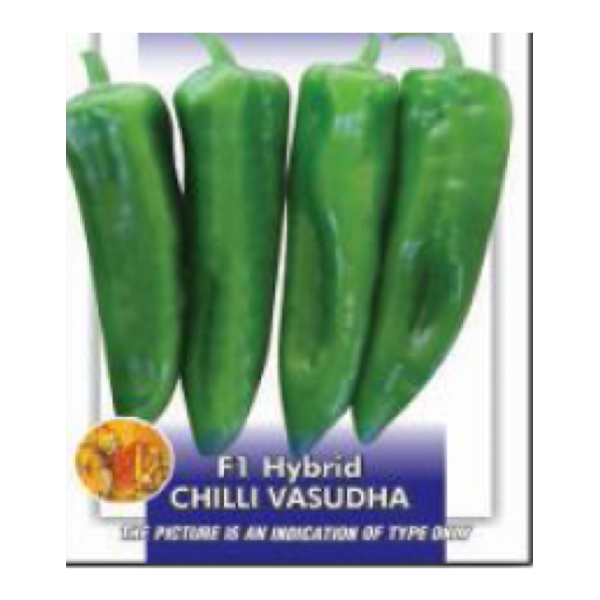 1 Packet Omaxe Chilli Vasudha 50 Plus Seeds - Chilli Pepper F1 Vasudha Vegetable seeds Kitchen Garden Packet - Image 2
