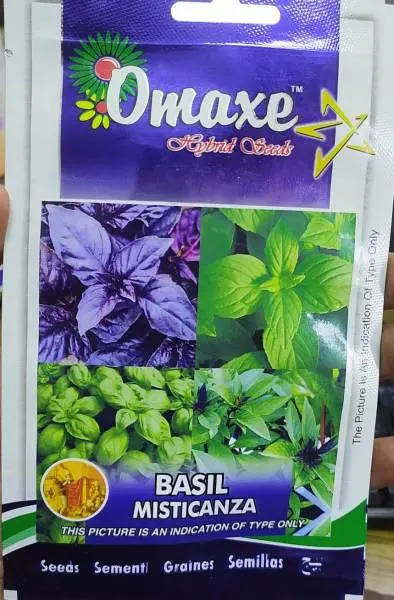 1 Packet Omaxe Herb Tulsi Seeds - 6 Types Of Basil Tulasi Seeds (All In One Pack)