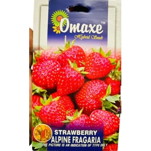 1 Packet STRAWBERRY ALPINE FRAGARIA Omaxe Seeds By Savyata Stores For Kitchen Garden