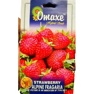 1 Packet STRAWBERRY ALPINE FRAGARIA Omaxe Seeds By Savyata Stores For Kitchen Garden