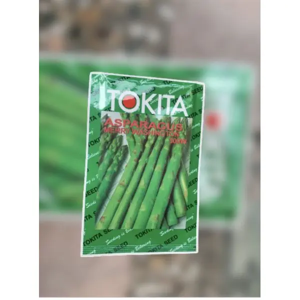 10 Gram Asparagus Original Seeds Pack Kurilo Seeds - Image 2