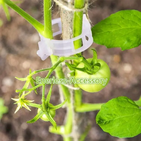 10 Pcs Tomato Clips For Support Tomato Plants - Image 2
