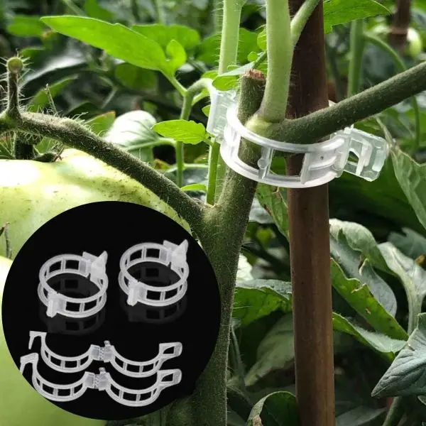 10 Pcs Tomato Clips For Support Tomato Plants - Image 3