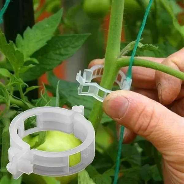 10 Pcs Tomato Clips For Support Tomato Plants - Image 4