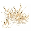 100 Grams Ear Wire Hook Earrings Hooks For DIY Jewelry Findings Components Accessories