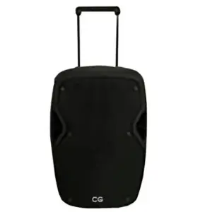12 Inch Trolley Speaker With Guitar Input