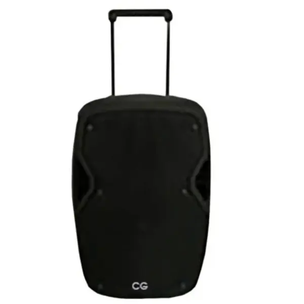 12 Inch Trolley Speaker With Guitar Input