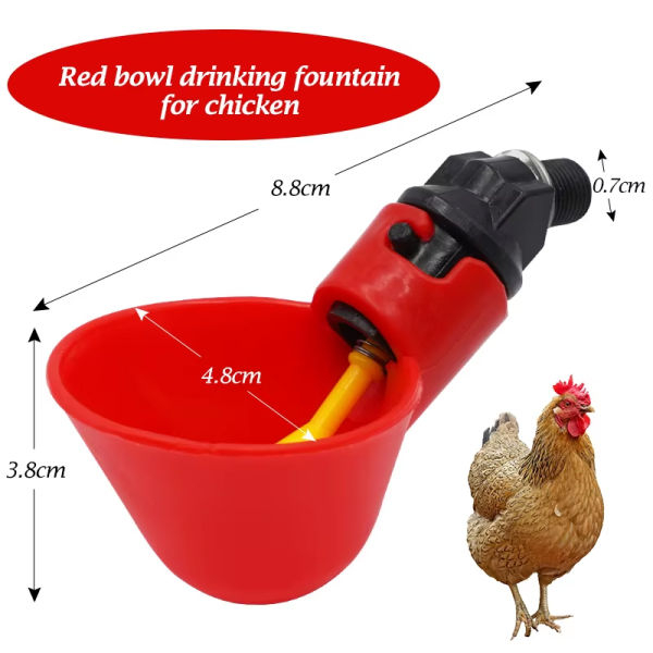 12 Pcs Red Coop Drinker Full Automatic Easy To Clean And Long Lasting - Image 4