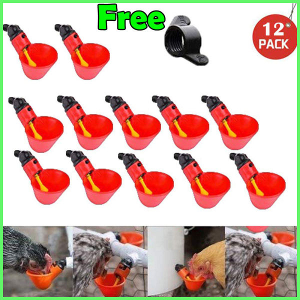 12 Pcs Red Coop Drinker Full Automatic Easy To Clean And Long Lasting - Image 5