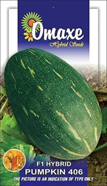 Pumpkin F1 Hybrid 406 Vegetable seeds Pack 10 Plus Pumpkin Seeds Omaxe Pack