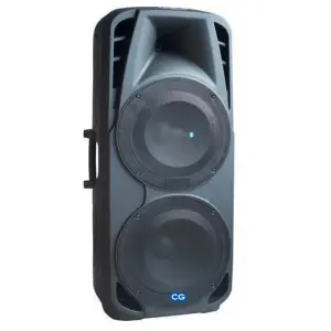 12 Inch Trolley Speaker