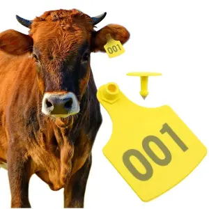 Ear Tags For Cow And Buffalo 0-100 Numbered