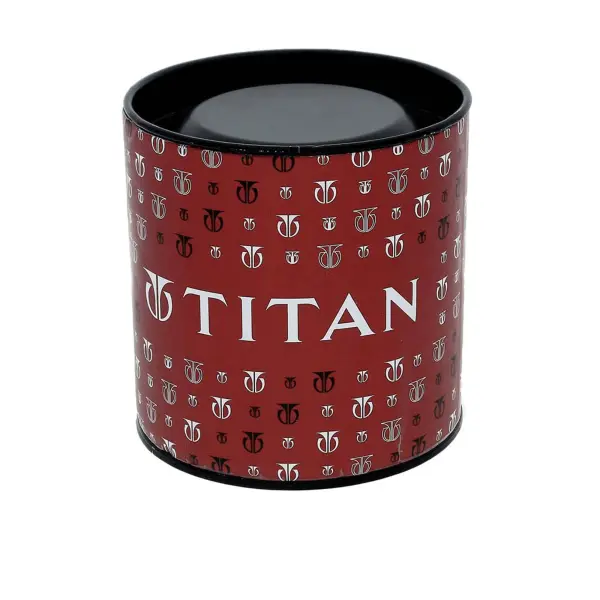 Titan Metal Analog with Day and Date Silver Dial Quartz Stainless Steel Strap Watch for Men - Image 5