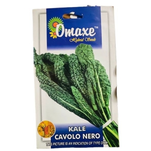 Vegetable Seed - 1 Packet KALE CAVOLO  NERO Omaxe Seeds By Savyata Stores For Kitchen Garden