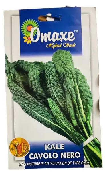 Vegetable Seed - 1 Packet KALE CAVOLO NERO Omaxe Seeds By Savyata Stores For Kitchen Garden