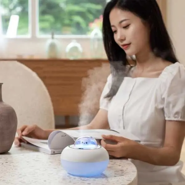 Cute Air Humidifier -300Ml - Image 2