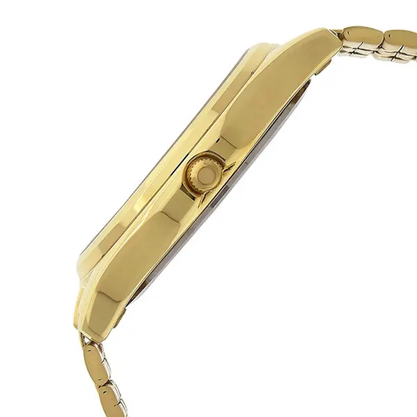 Titan Champagne Dial Analog Watch for Men 1713YM03 - Image 3