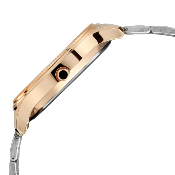 Titan Metal Brown Dial Analog with Day and Date Stainless Steel Strap Watch for Men - Image 3
