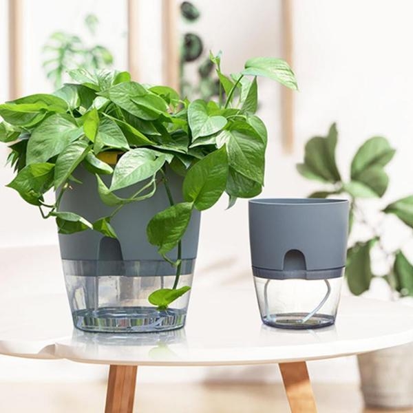 Self Watering Pot , One Piece Only ( Size Large 18.2 ,15.3 , 11 cm ) - Image 3