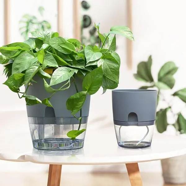 Self Watering Pot - Image 4