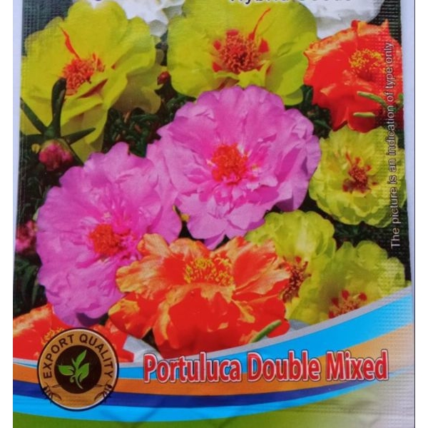 Asian Portuluca Double Mixed Flower Seeds 20 Plus Seeds - Image 4