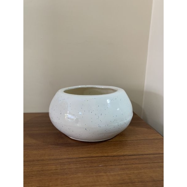 Small White Bonsai Bowl Planter Succulent Plant Pot - Image 3