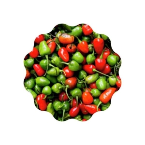 Akabare Khursani Seeds ( अकबरे खुर्सानी Biu ) - 20+ Seed Loose Packed