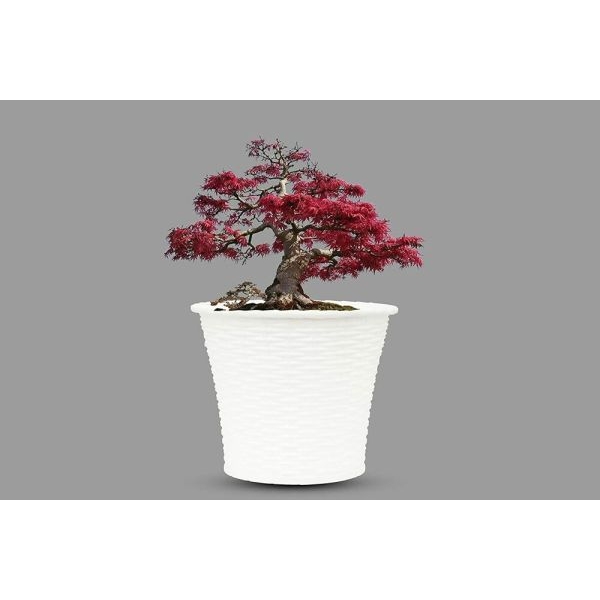 2 Pcs 8 Inch Shinning Flower Pot / Planter For Indoor Outdoor Garden - Image 3