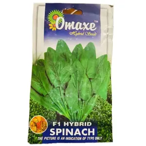 Vegetable Seed - 1 Packet F1 HYBRID SPINACH Omaxe Seeds By Savyata Stores For Kitchen Garden