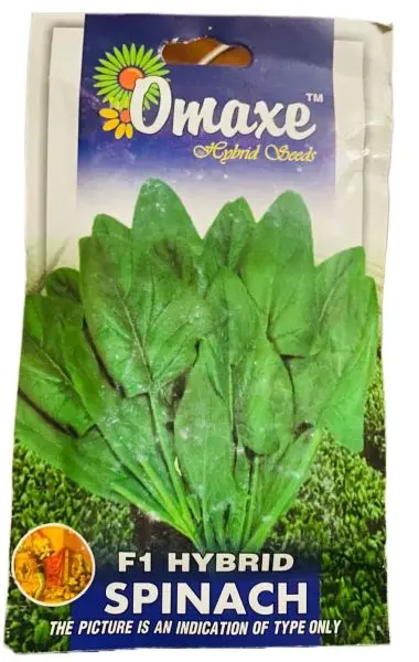 Vegetable Seed - 1 Packet F1 HYBRID SPINACH Omaxe Seeds By Savyata Stores For Kitchen Garden