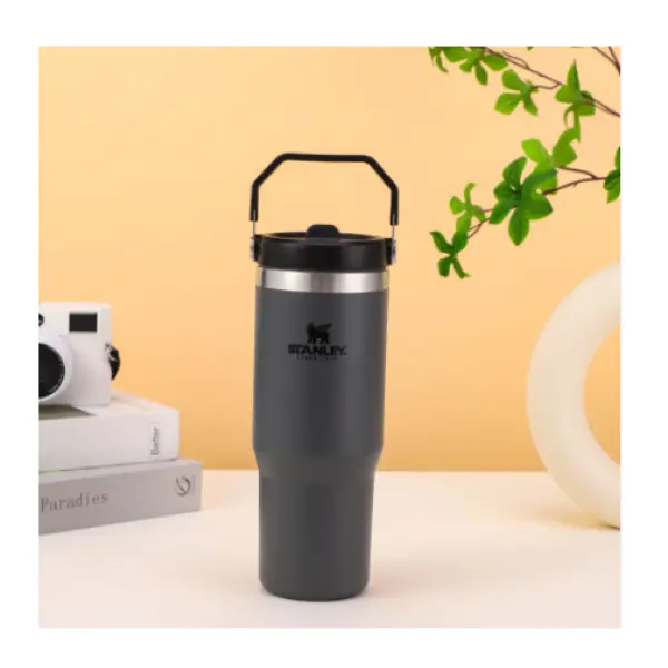 20oz/30oz Original Factory Stanley Straw Cup Tumbler Leopard With Straw Lids Stainless Steel Coffee Termos Cup Car Vacuum Cup Fengshi - Image 2